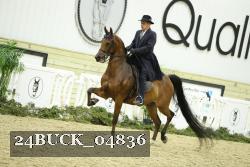 24BUCK_04836 proof