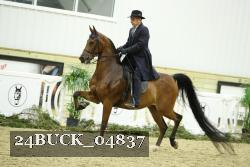 24BUCK_04837 proof