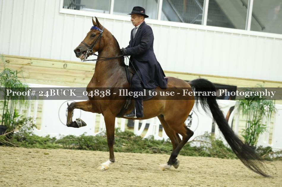 Proof 24BUCK_04838