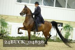 24BUCK_04838 proof