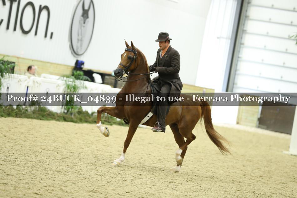Proof 24BUCK_04839