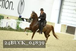24BUCK_04839 proof