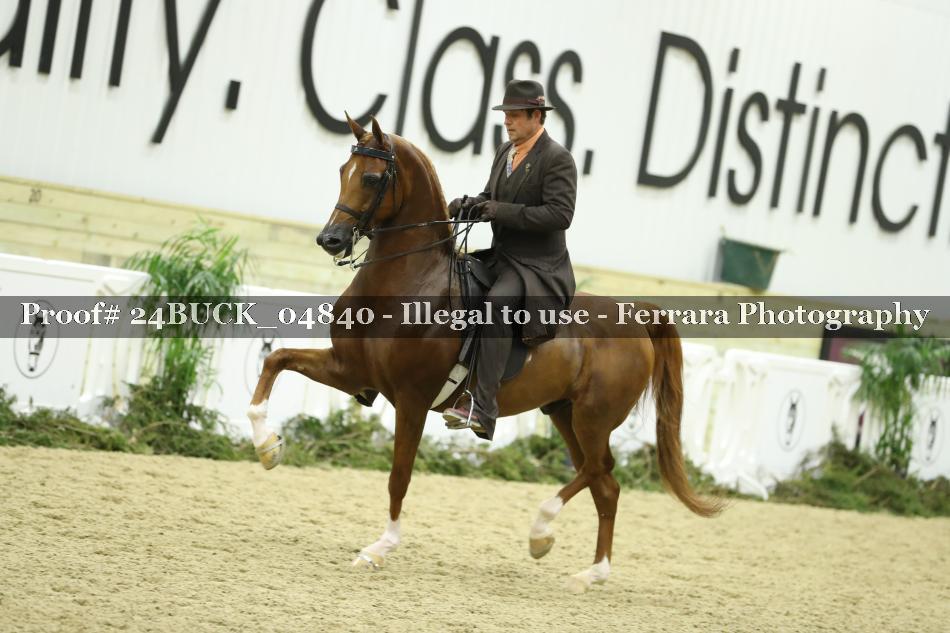 Proof 24BUCK_04840