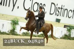 24BUCK_04840 proof