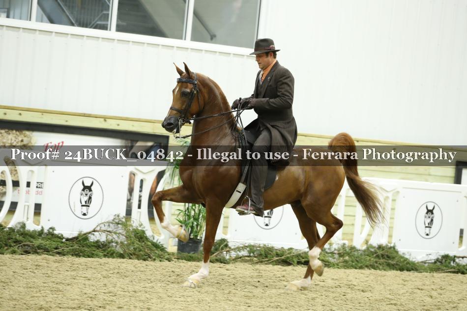 Proof 24BUCK_04842