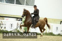 24BUCK_04842 proof