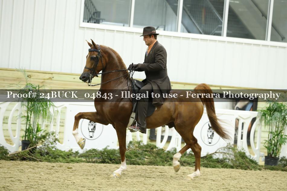 Proof 24BUCK_04843