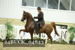 24BUCK_04843 proof