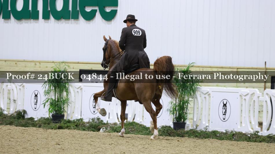 Proof 24BUCK_04844