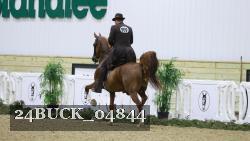 24BUCK_04844 proof
