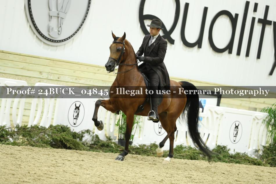 Proof 24BUCK_04845
