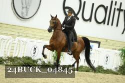 24BUCK_04845 proof