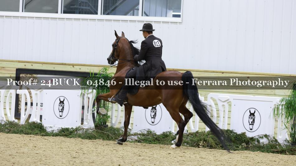 Proof 24BUCK_04846