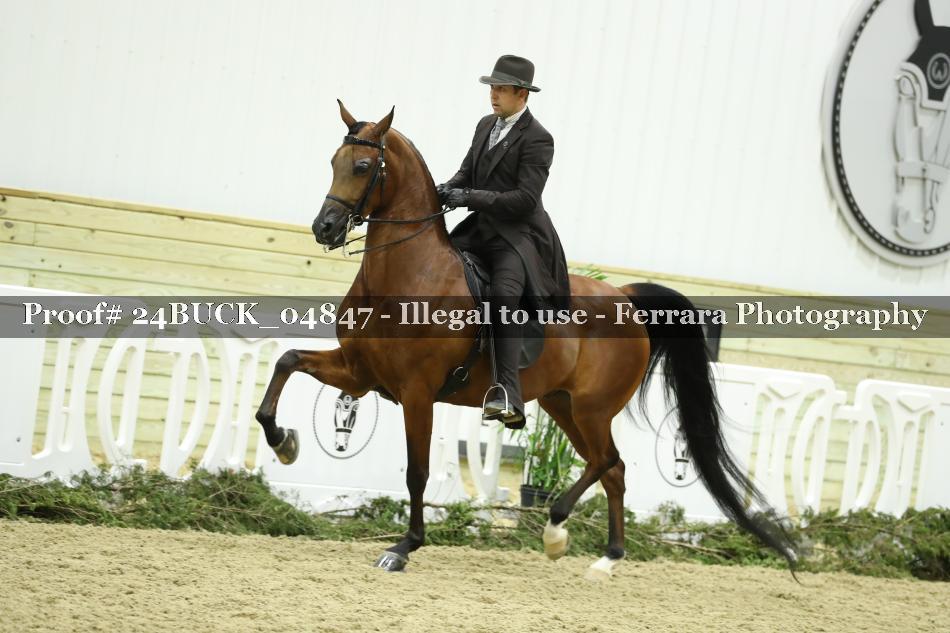 Proof 24BUCK_04847