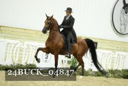 24BUCK_04847 proof