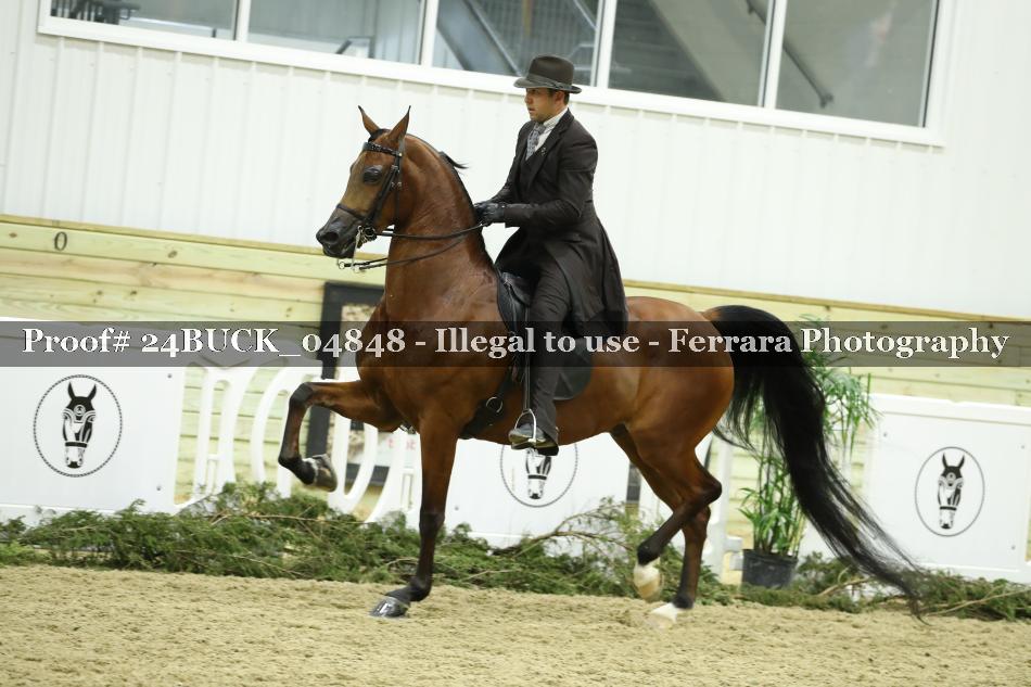 Proof 24BUCK_04848