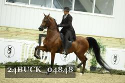 24BUCK_04848 proof