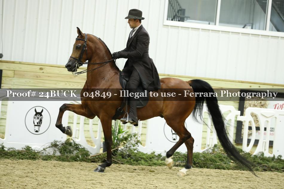 Proof 24BUCK_04849