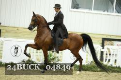 24BUCK_04849 proof