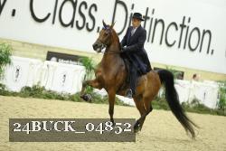 24BUCK_04852 proof
