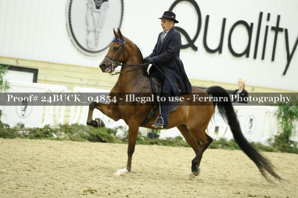 Proof 24BUCK_04854