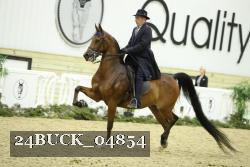 24BUCK_04854 proof