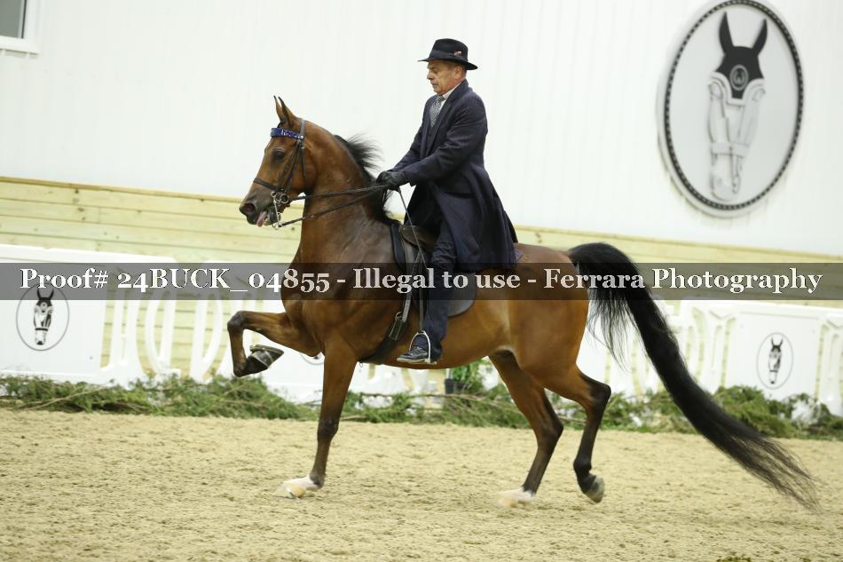 Proof 24BUCK_04855