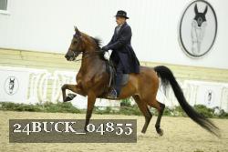 24BUCK_04855 proof