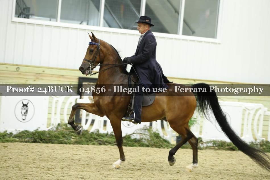 Proof 24BUCK_04856