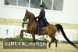 24BUCK_04856 proof