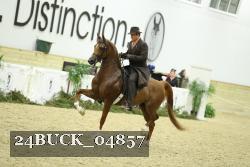 24BUCK_04857 proof