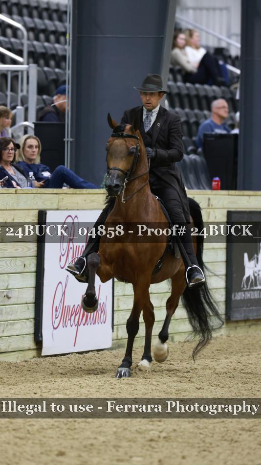 Proof 24BUCK_04858
