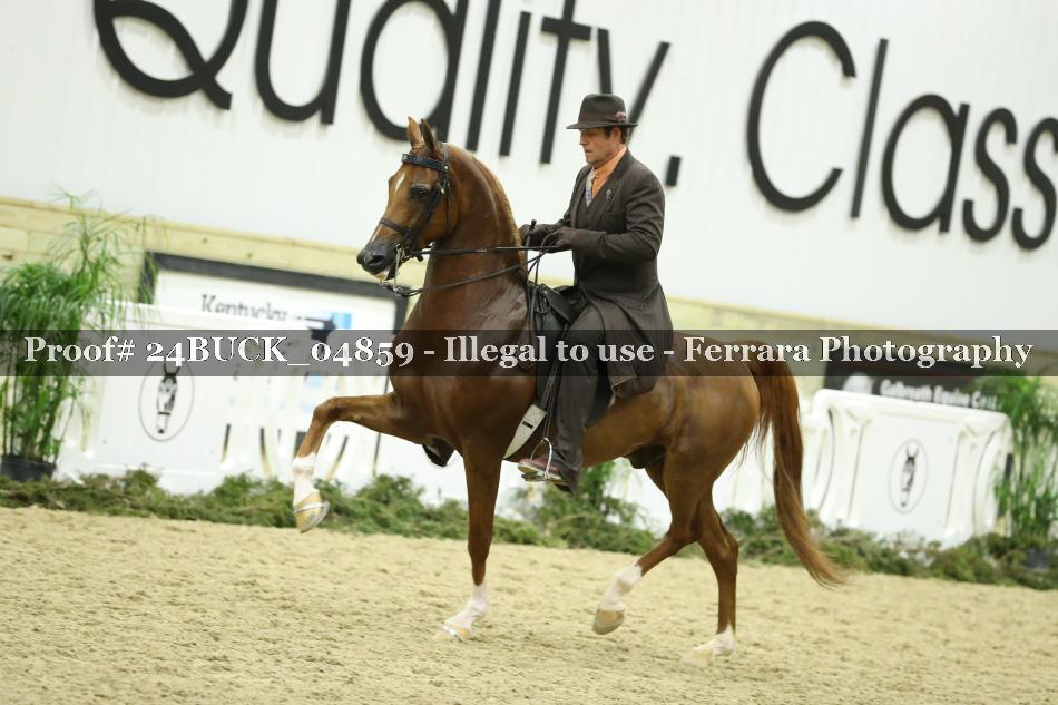 Proof 24BUCK_04859