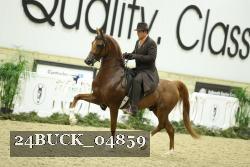 24BUCK_04859 proof