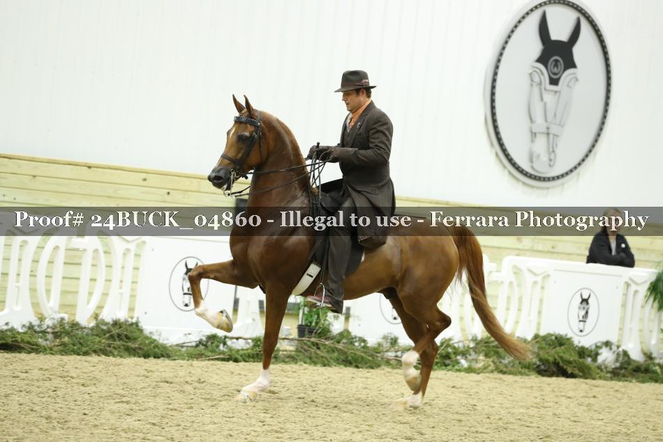 Proof 24BUCK_04860