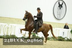 24BUCK_04860 proof