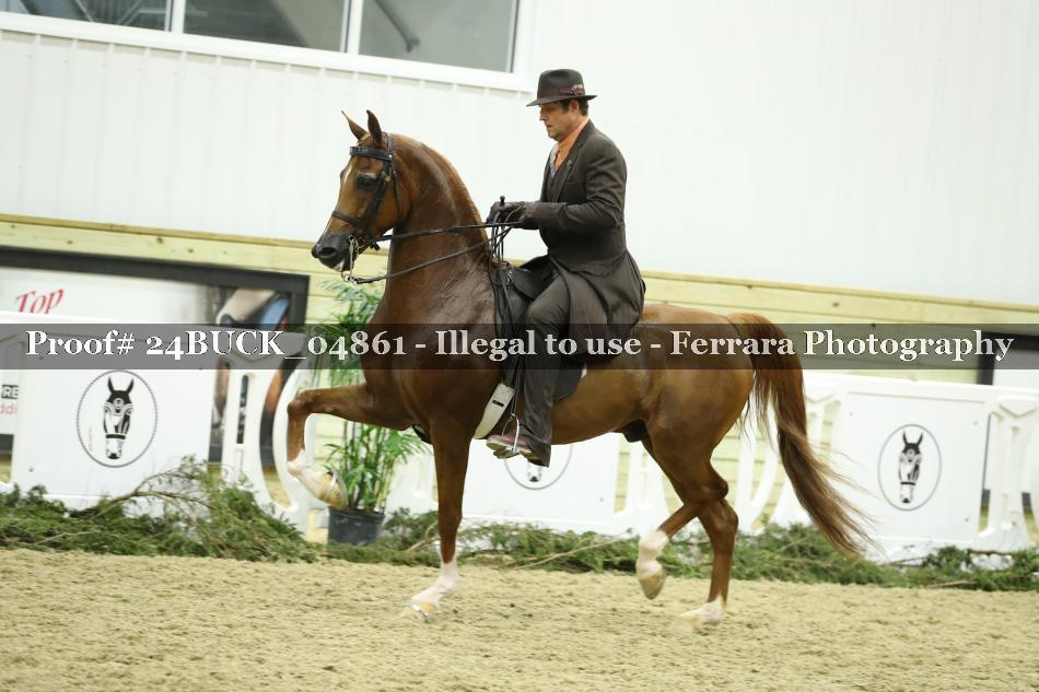 Proof 24BUCK_04861