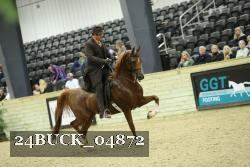 24BUCK_04872 proof