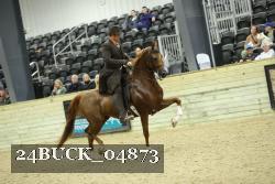 24BUCK_04873 proof