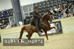 24BUCK_04874 proof