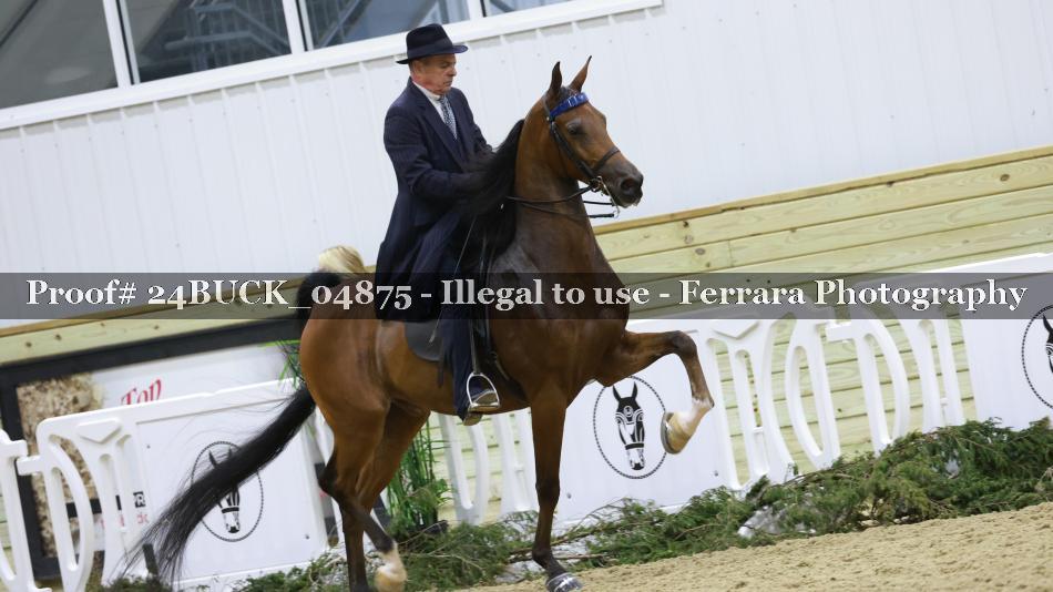 Proof 24BUCK_04875