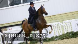 24BUCK_04875 proof