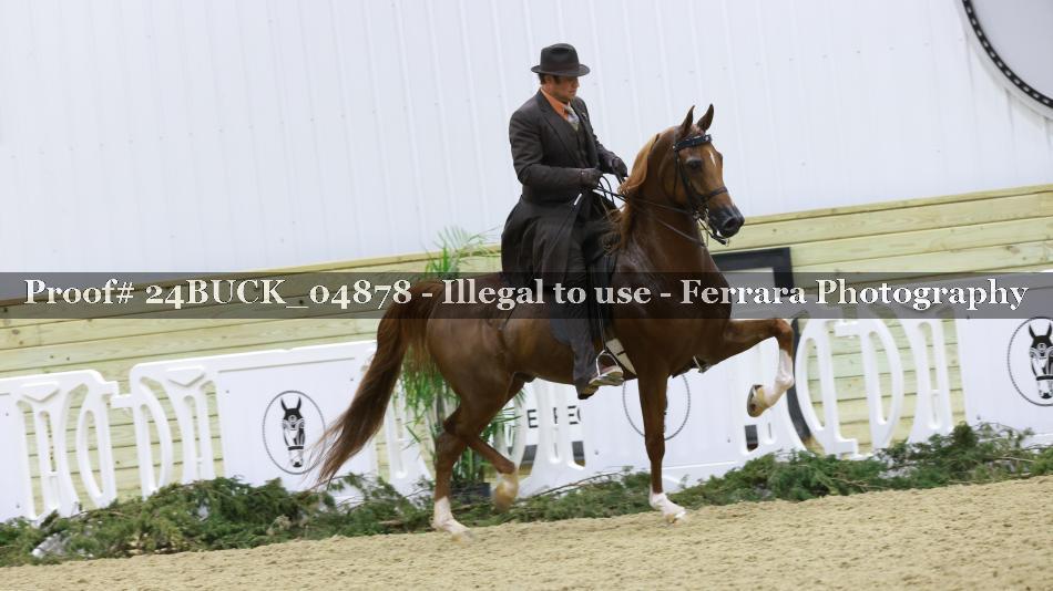 Proof 24BUCK_04878