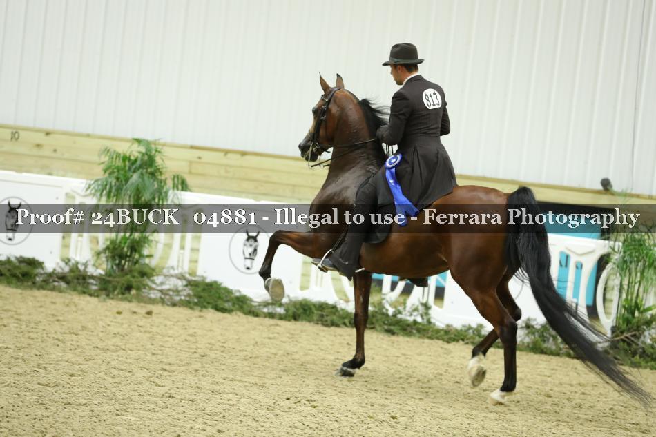 Proof 24BUCK_04881