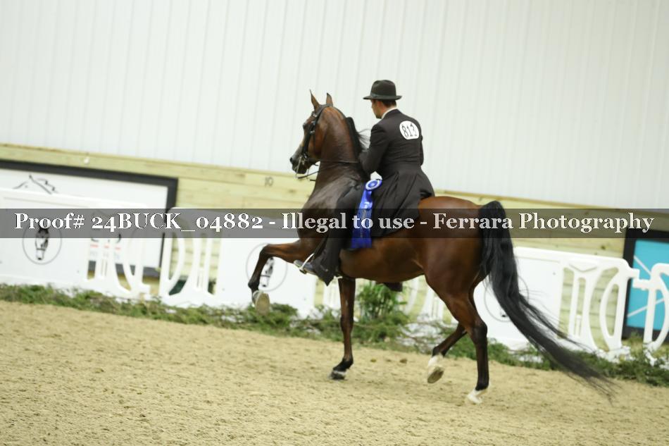 Proof 24BUCK_04882