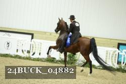 24BUCK_04882 proof