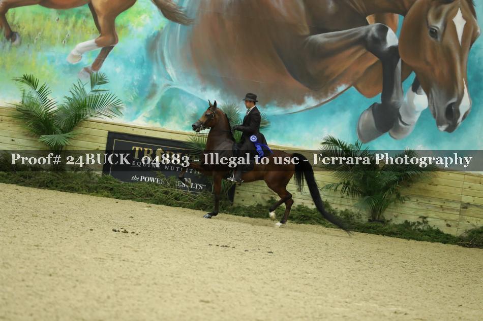 Proof 24BUCK_04883