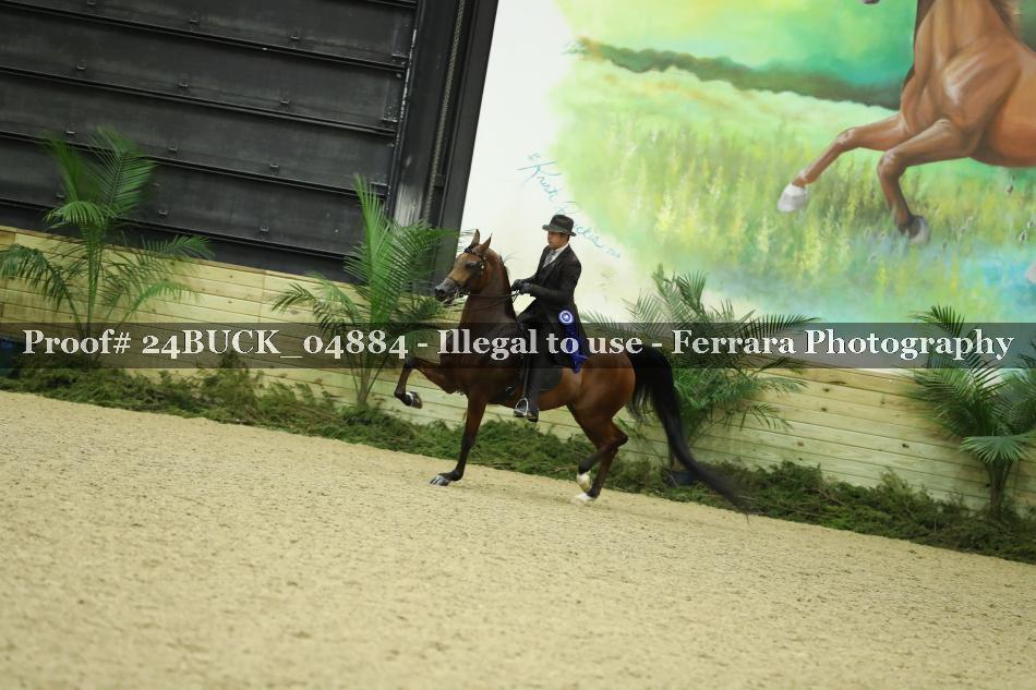 Proof 24BUCK_04884