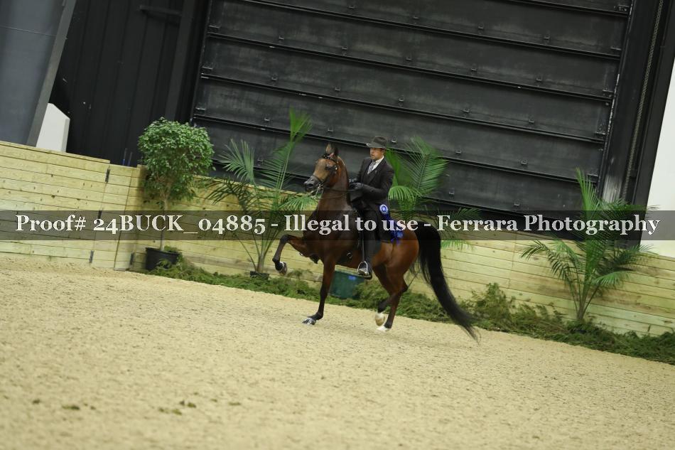 Proof 24BUCK_04885