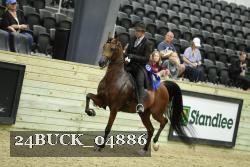 24BUCK_04886 proof